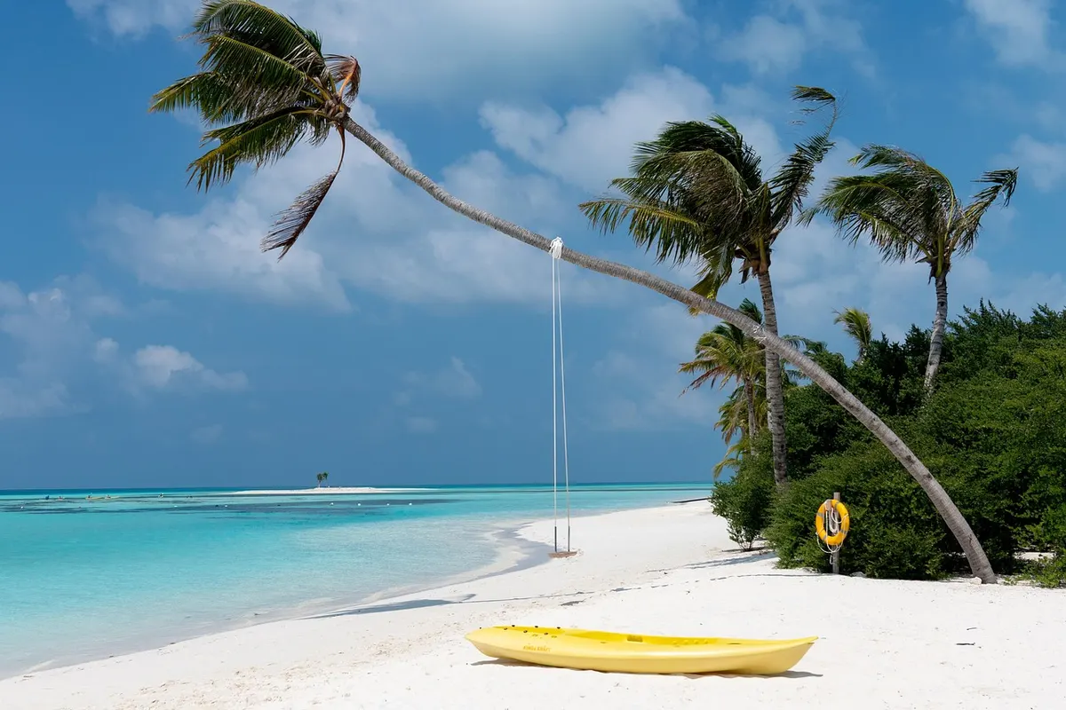 Dalawella: The Palm Rope Swing Beach