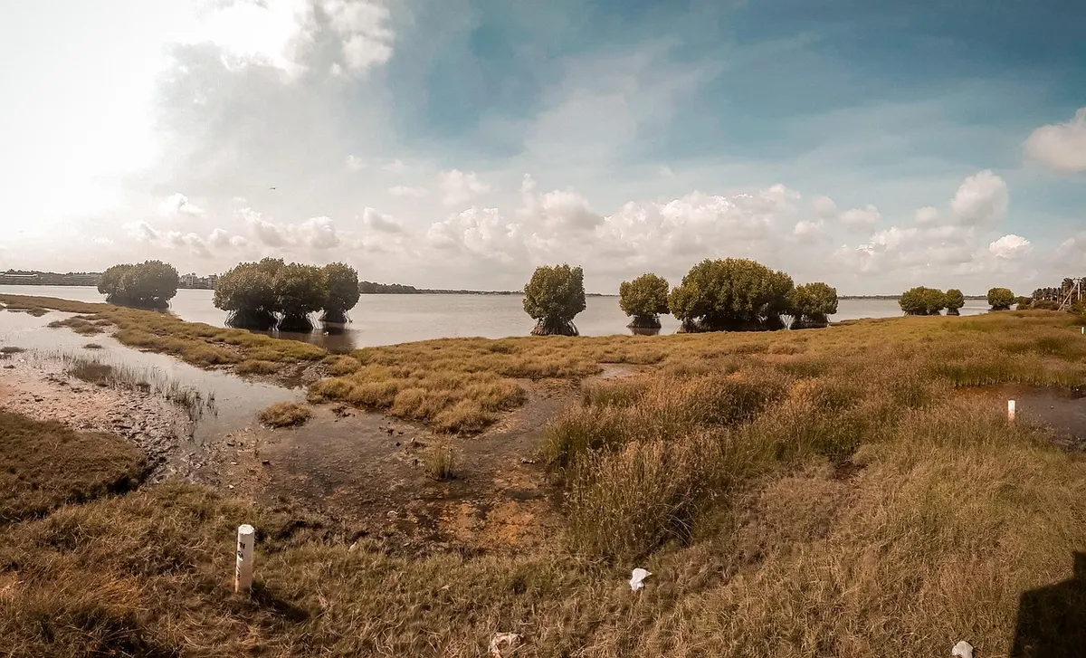 Hambantota: Salt Pans, Wetlands and the Gateway to the Deep South