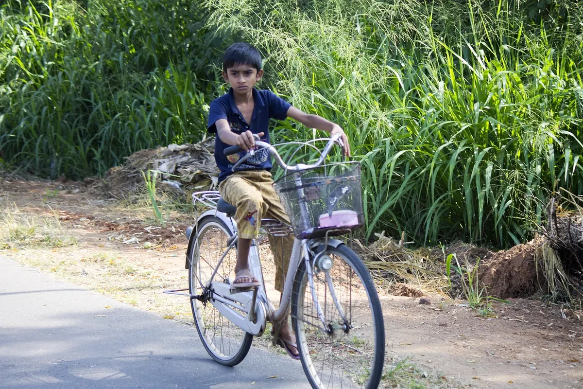 Cafes and Cycling: Slow Mornings in Jaffna