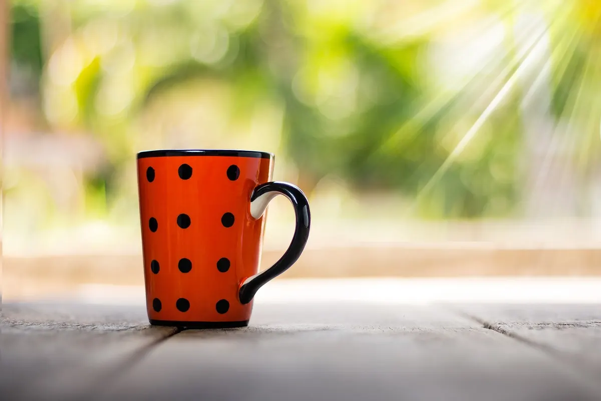 Kandy’s Cafe Scene: Coffee With a View