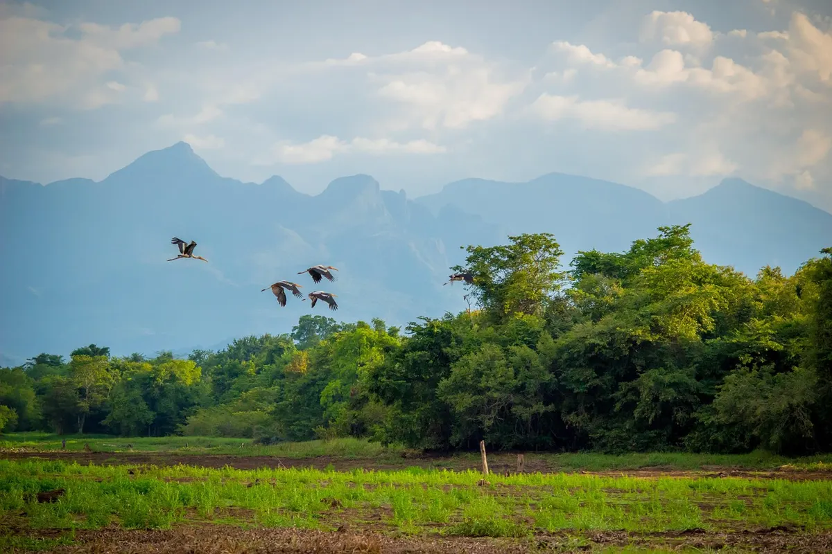 Kilinochchi: Paddy Plains and the Road North to Jaffna