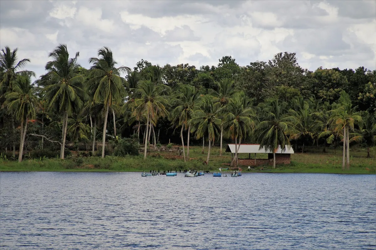 Koggala Lake: Islands, Birds and Cinnamon