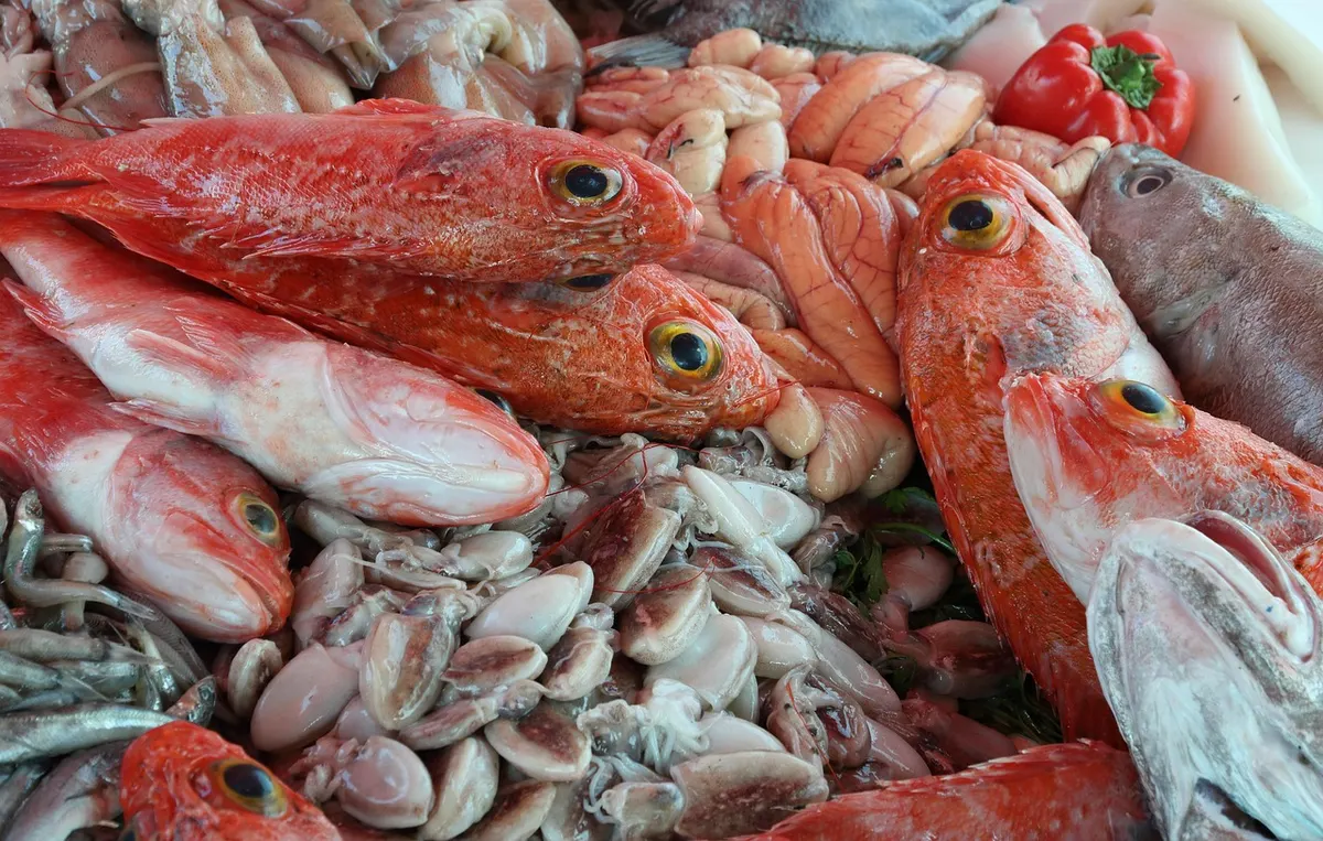 Negombo Seafood: Lagoon Crab and the Morning Fish Market