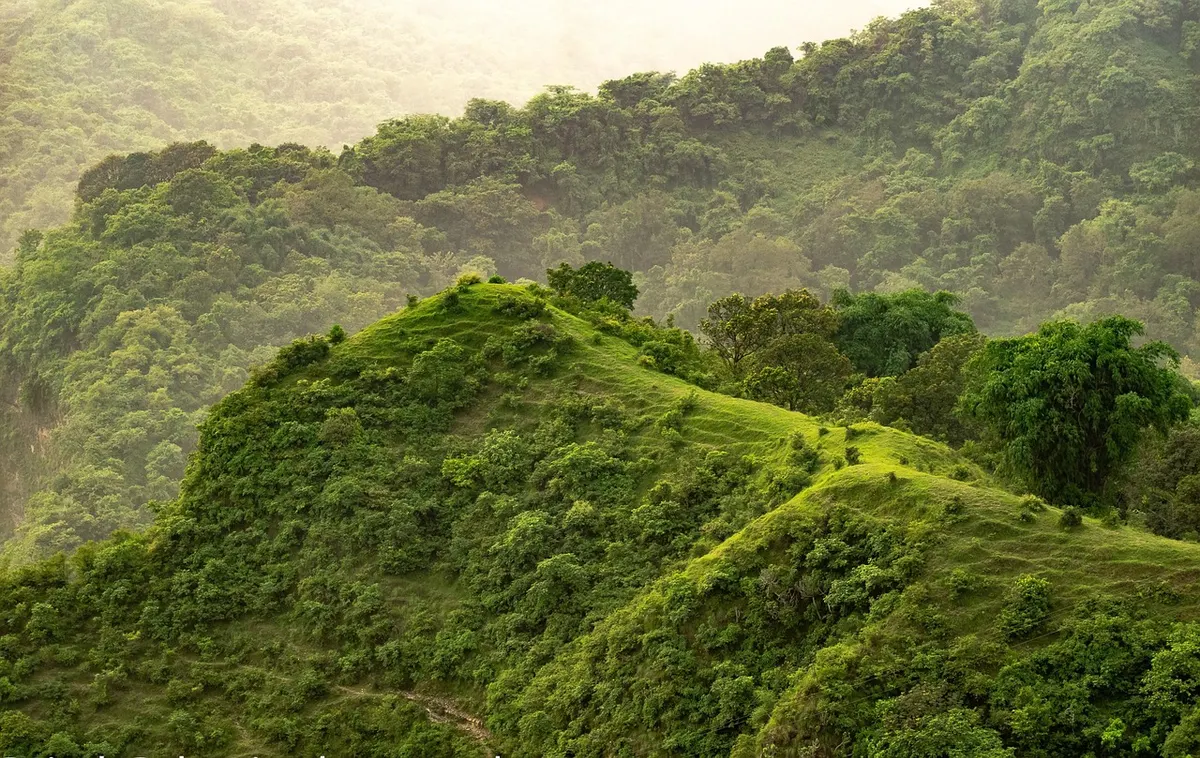 Pitawala Pathana: A Highland Meadow on the Knuckles Edge