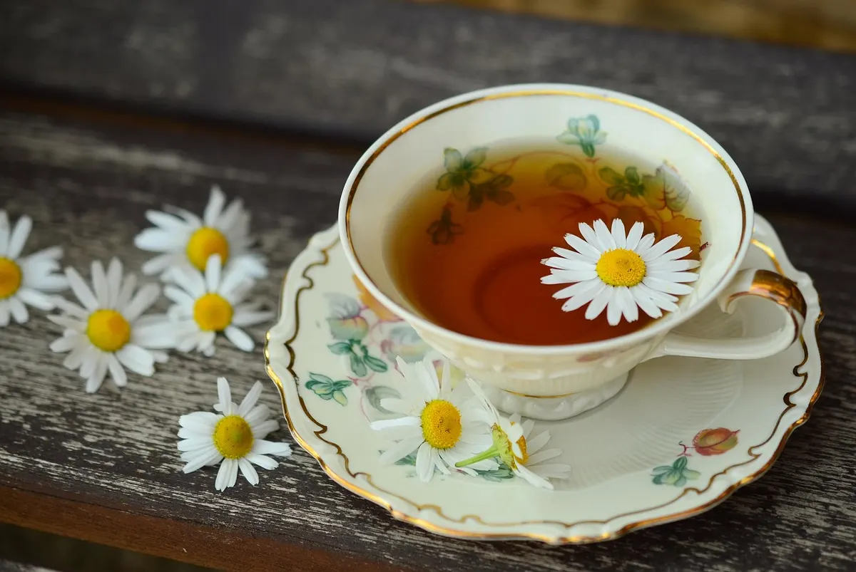 Ceylon Tea: A Traveller's Guide to the Island's Famous Brew