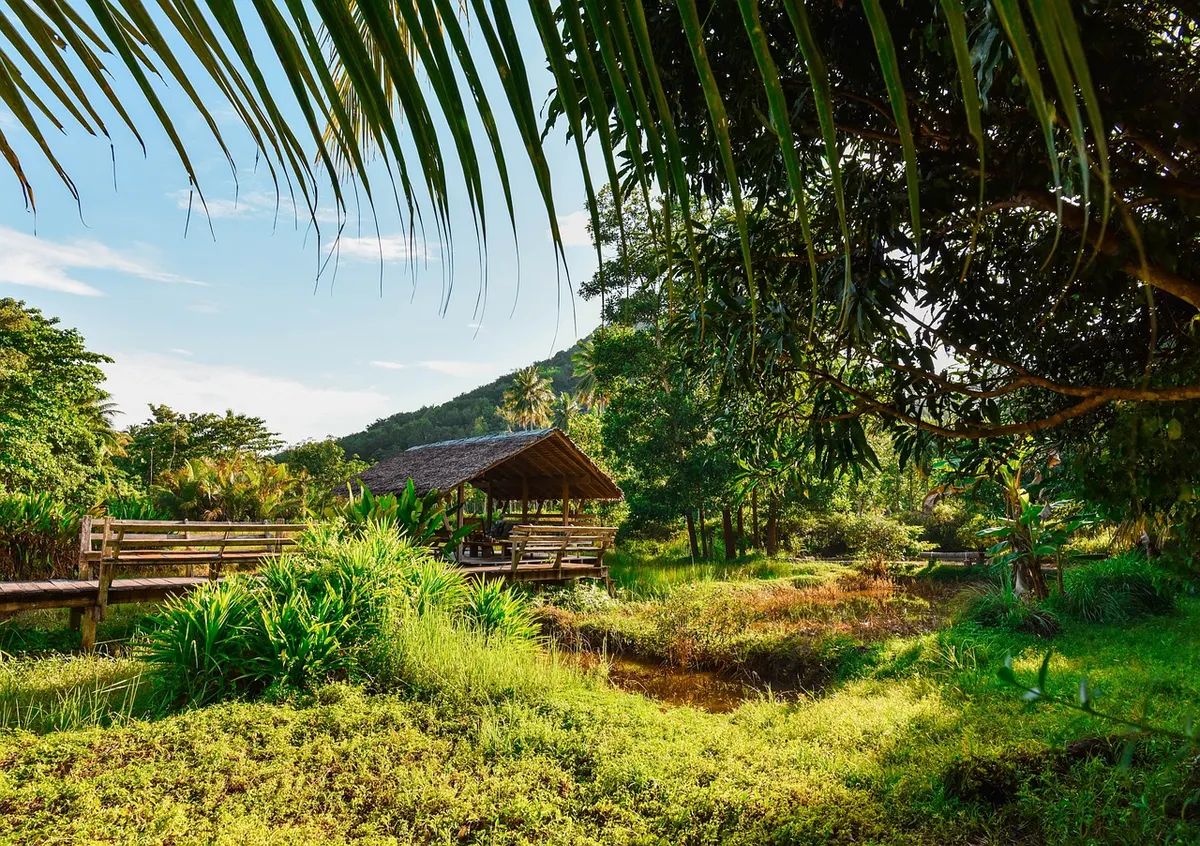 Village Homestays: Eating and Living Like a Local