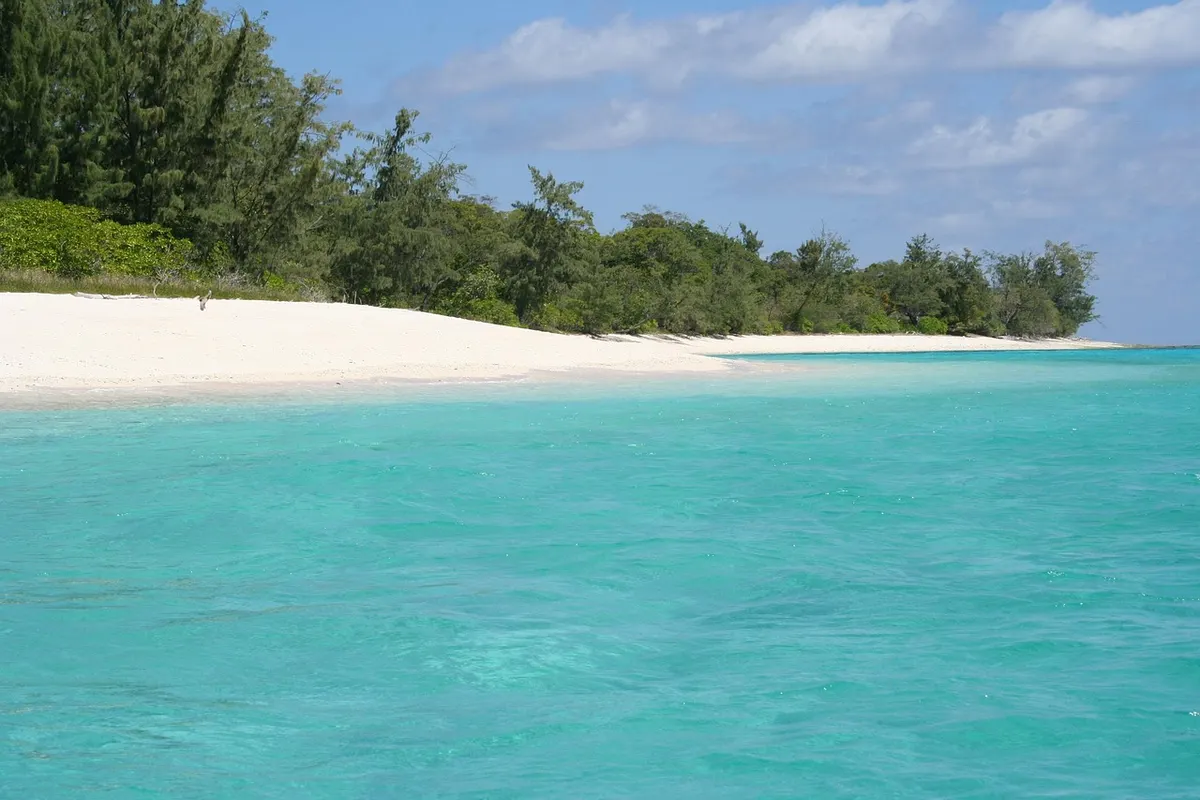 Trincomalee: East Coast Beaches and Blue Whales