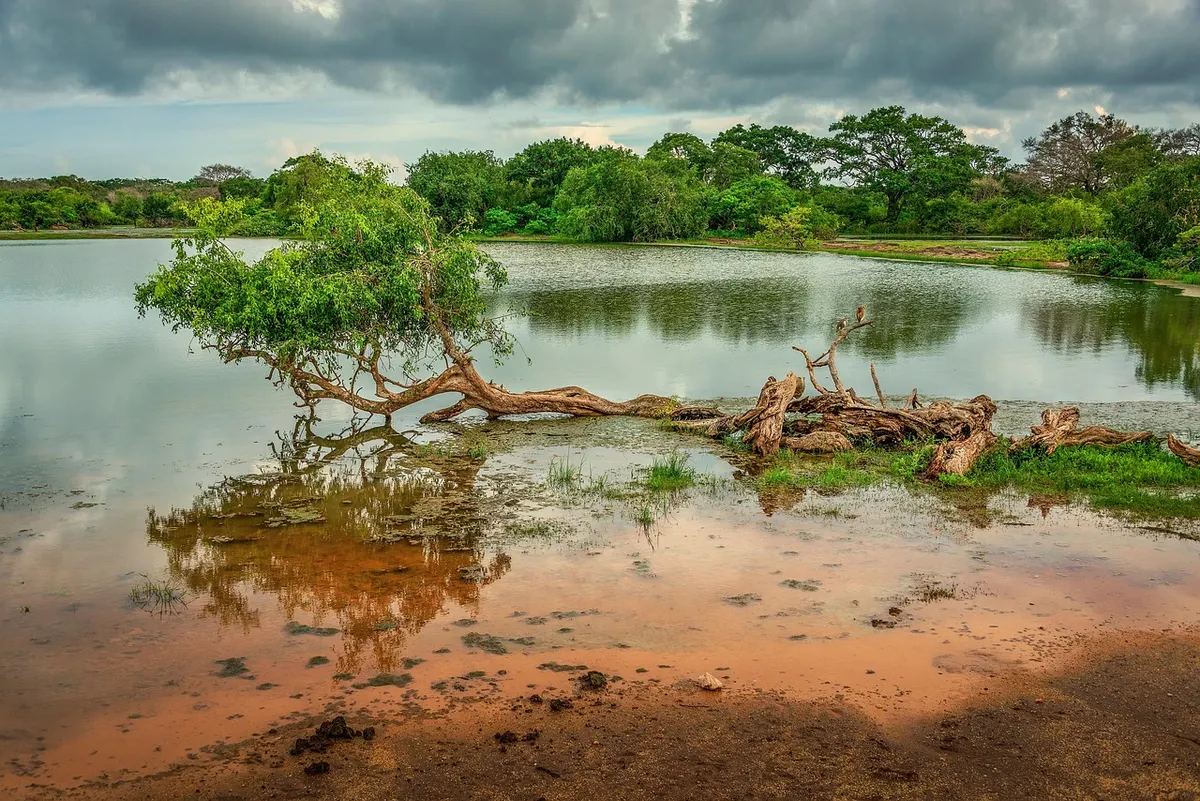 Viharamahadevi Park: Colombo’s Green Heart